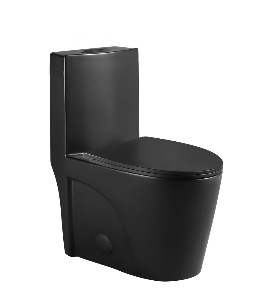 Sleek black one-piece toilet